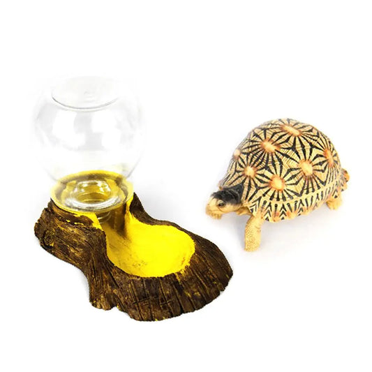 Automatic Waterer Reptile Amphibians Tortoise Lizard Water Bowl