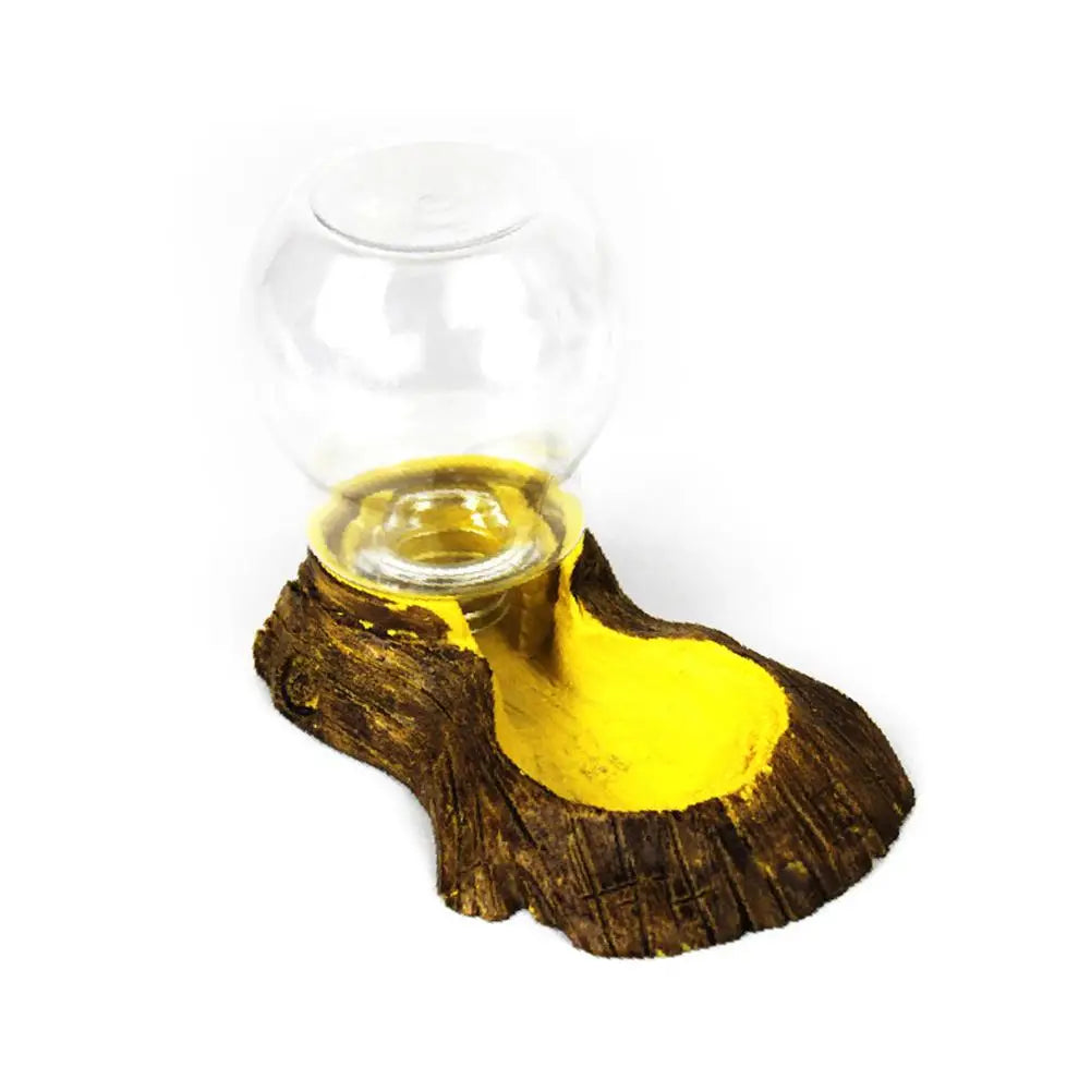 Automatic Waterer Reptile Amphibians Tortoise Lizard Water Bowl