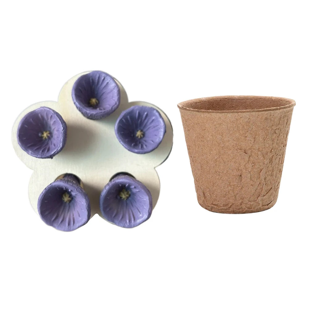 Bees Drinking Cup Flower Shape Water Feeder with Nursery Cup & Holder, Resin