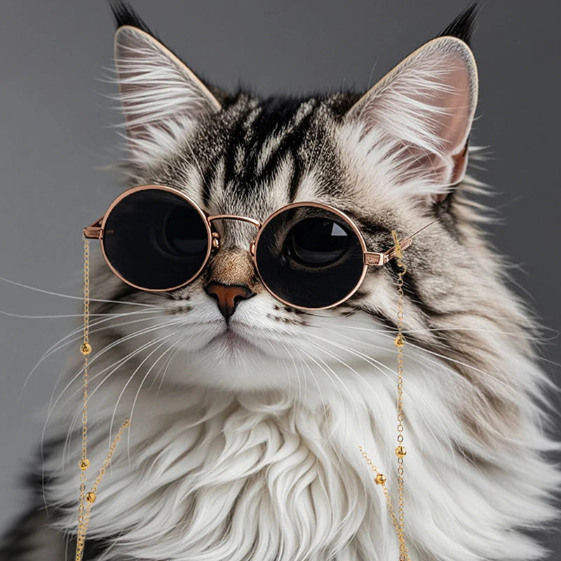 Pet Sunglasses Classic Retro Dog Cat Pet Photo Props Costume