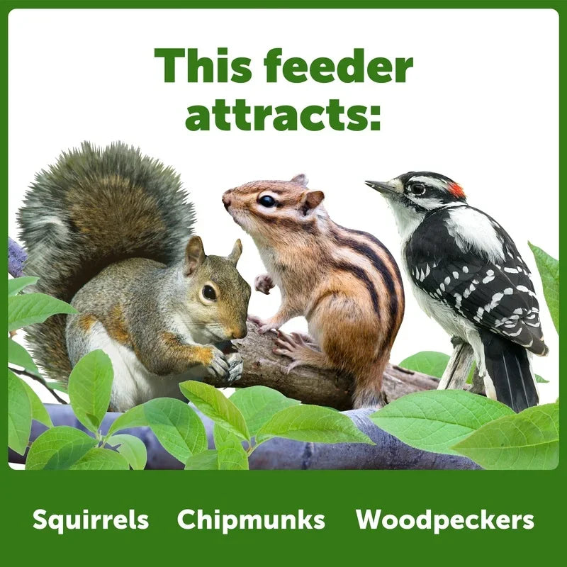 Red Cedar Squirrel Feeder Picnic Table Outdoor Hanging Wildlife Feeder