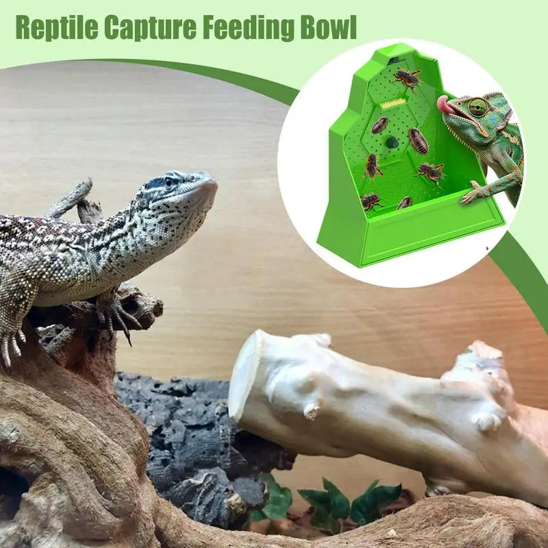 Chameleon Feeder Reptile Feeding Box Anti-Escape Hunting Bowl For Chameleon Frog Snake Spider Amphibian