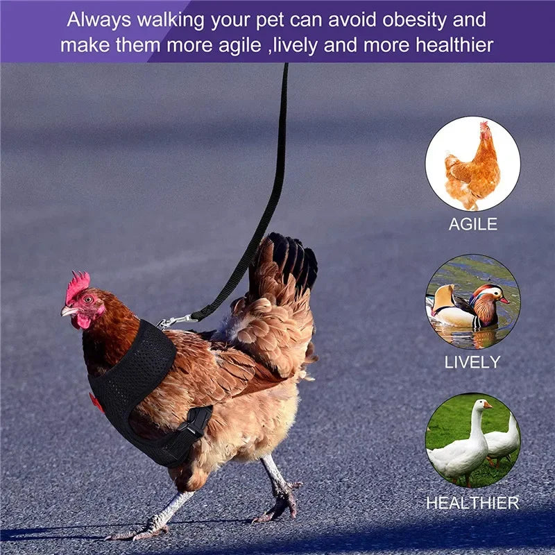 Chicken Duck Vest Hen Belt Pet Harness Matching Collars Bow Comfortable Leads
