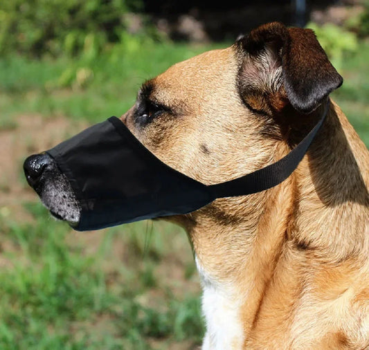 Muzzles for Small Medium Large Dogs Soft Nylon with Safety Buckle Stop Biting Barking
