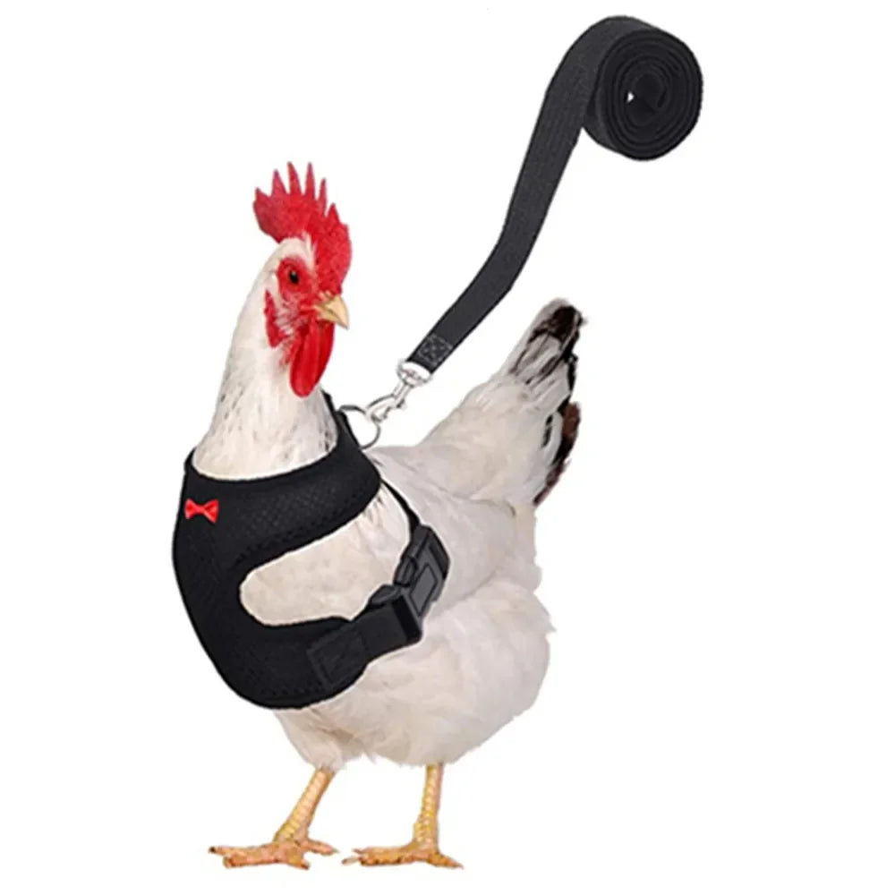 Chicken Duck Vest Hen Belt Pet Harness Matching Collars Bow Comfortable Leads