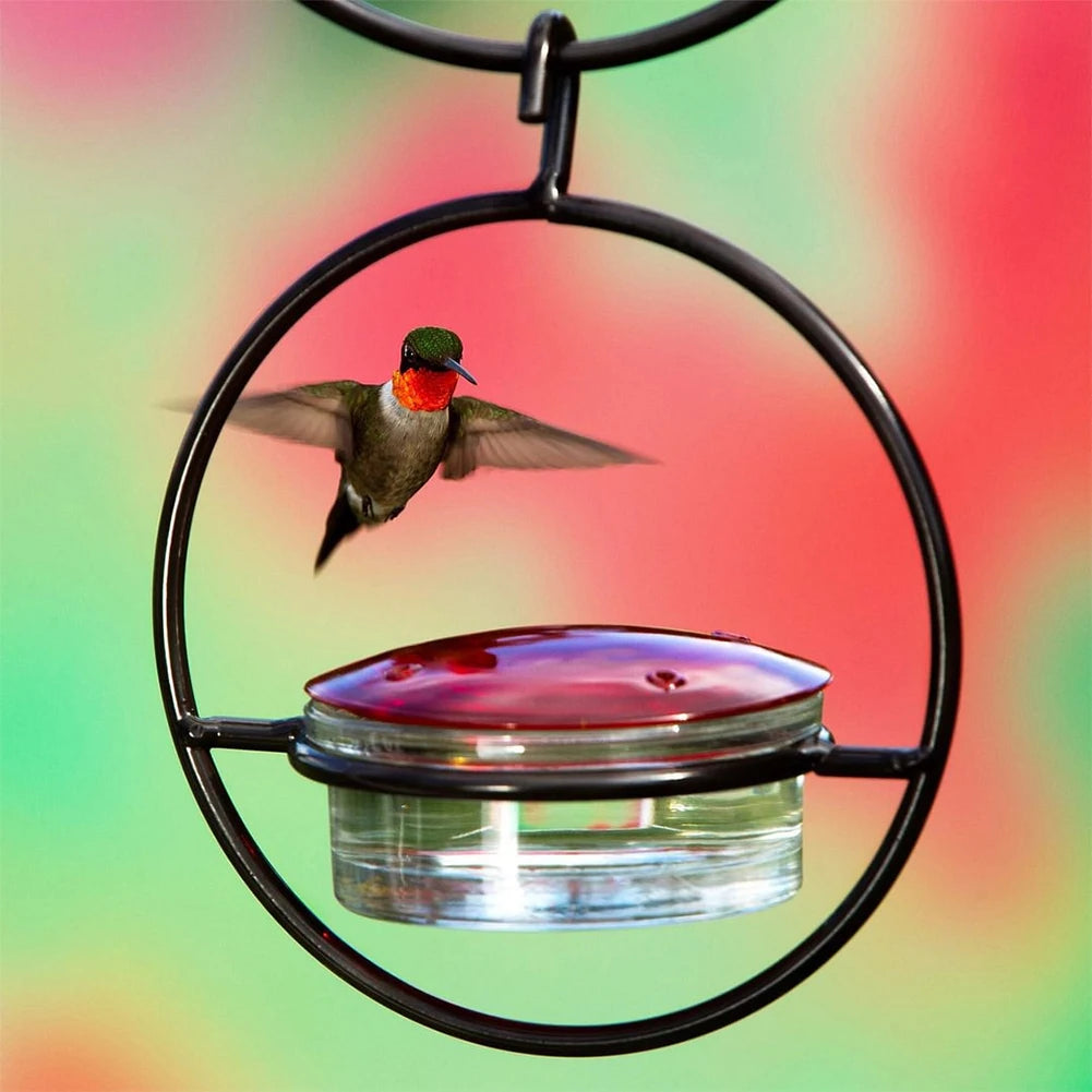 Hummingbird Feeder Attract Birds Ant Bee Proof with Red Glass Bowl for Outside Garden Backyard Patio Deck