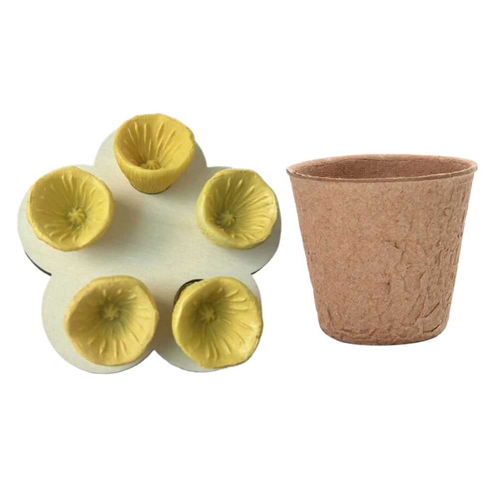 Bees Drinking Cup Flower Shape Water Feeder with Nursery Cup & Holder, Resin
