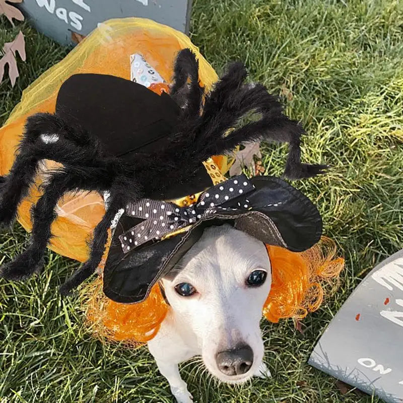 Halloween Pet Spider Costume Black Spooky Spider For Dogs Cats Cosplay Outfit