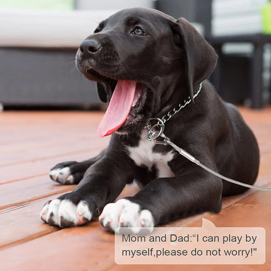 Outdoor Pet Leash for Metal Screw Stake Steel Cable Camping Garden