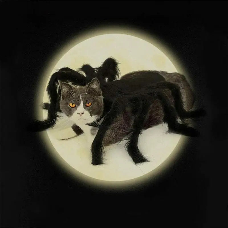 Halloween Pet Spider Costume Black Spooky Spider For Dogs Cats Cosplay Outfit