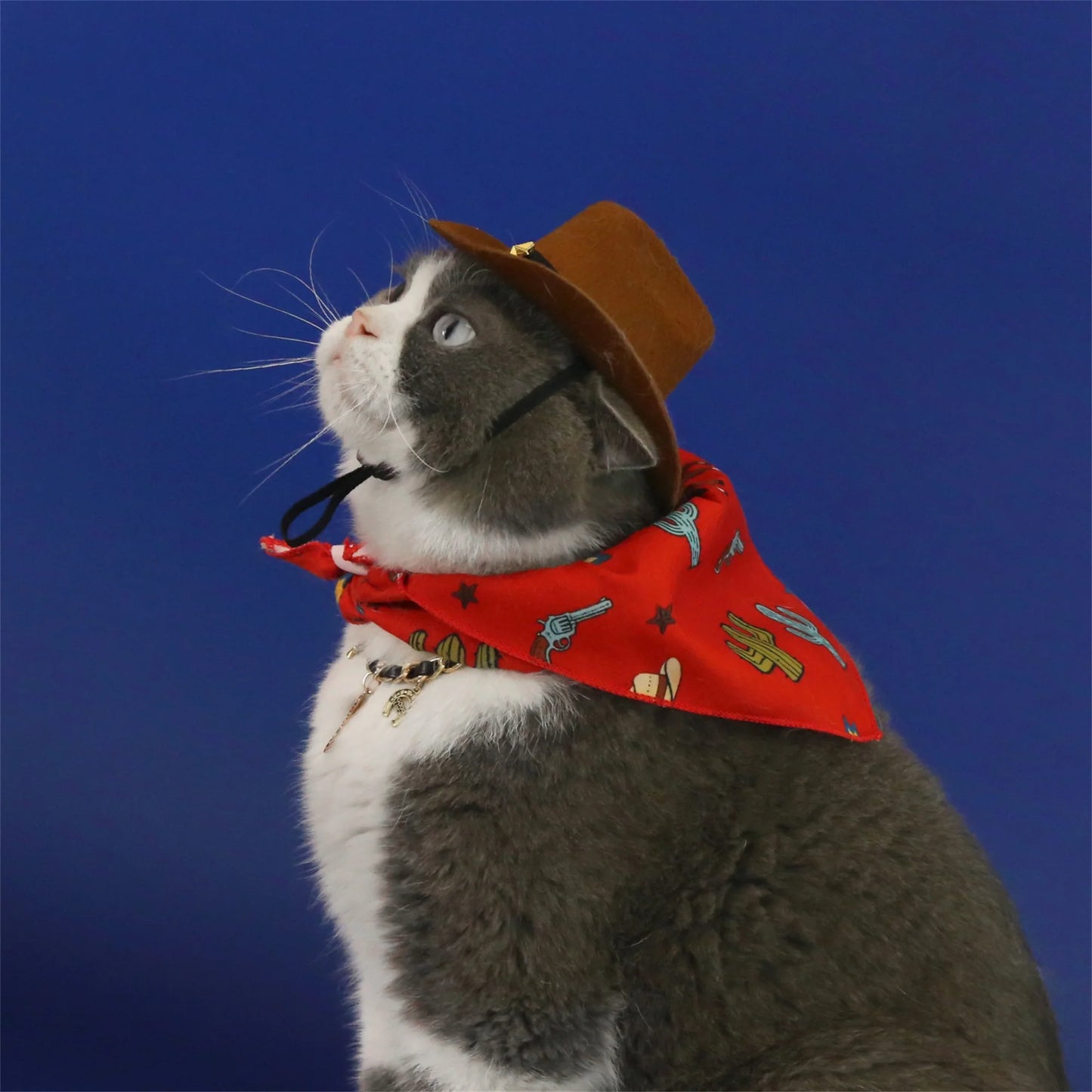 Pet Cowboy Costume Hat and Paisley Print Bandana Set Halloween Costume for Small Pets