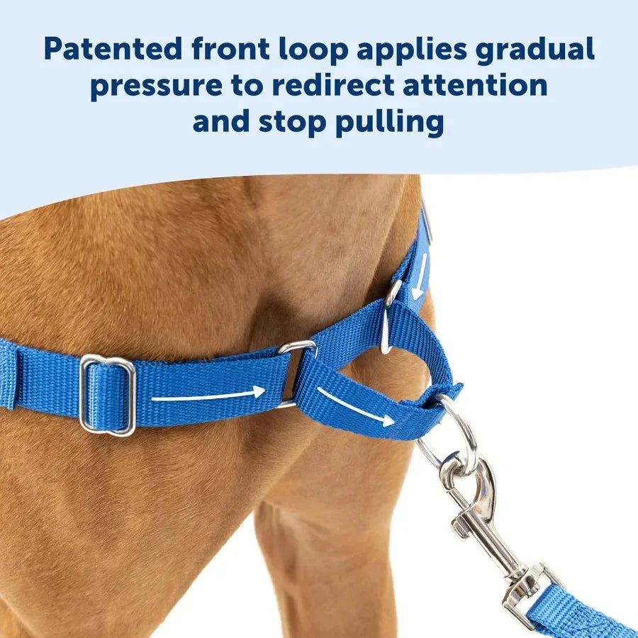 Anti-Pull Harness Easy Walk Front Clip | Breathable Mesh for Dogs, No Pull Pet Training & Walks