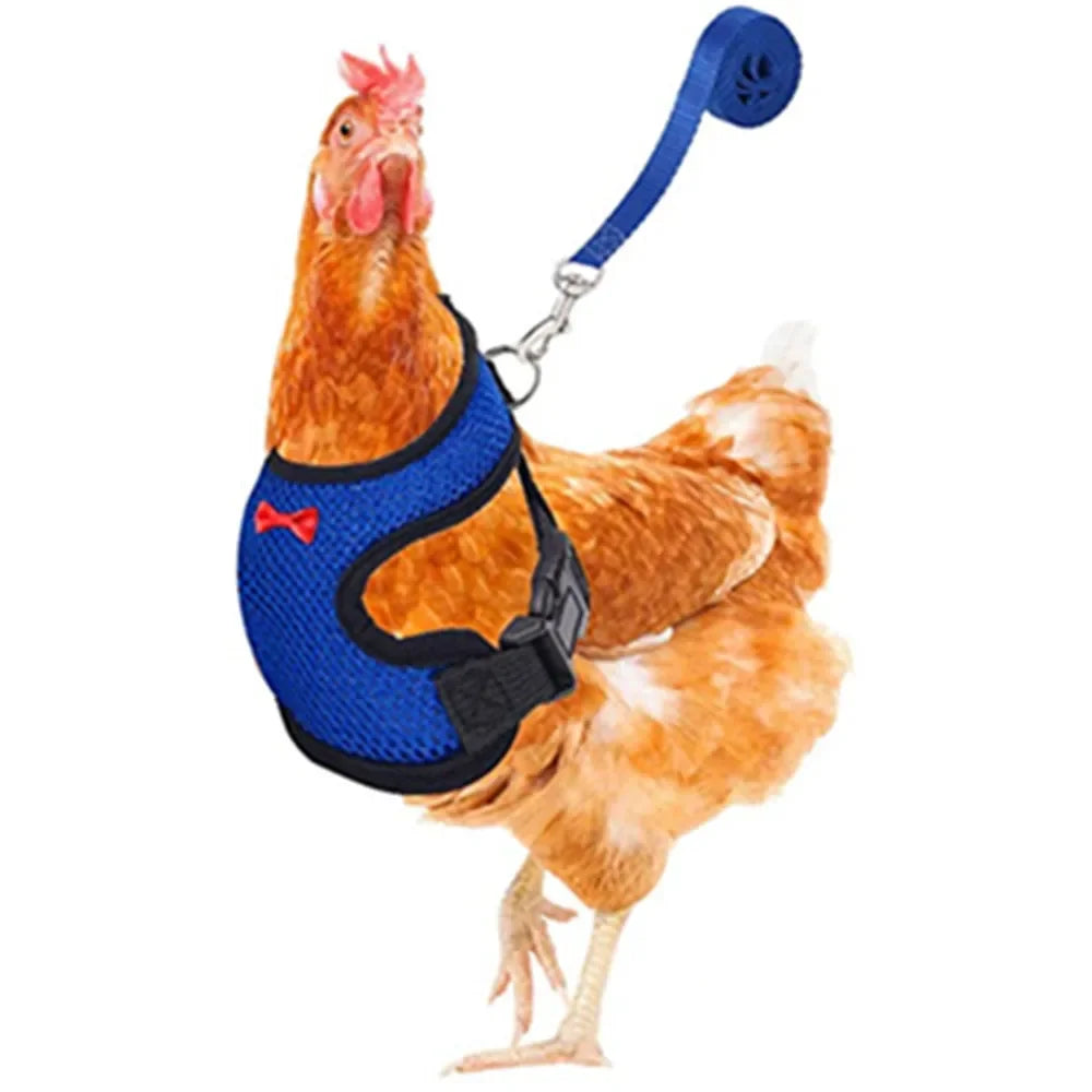 Chicken Duck Vest Hen Belt Pet Harness Matching Collars Bow Comfortable Leads