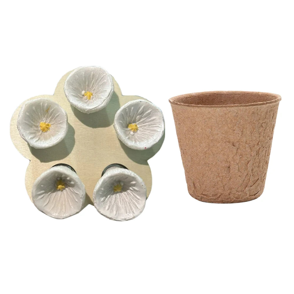 Bees Drinking Cup Flower Shape Water Feeder with Nursery Cup & Holder, Resin
