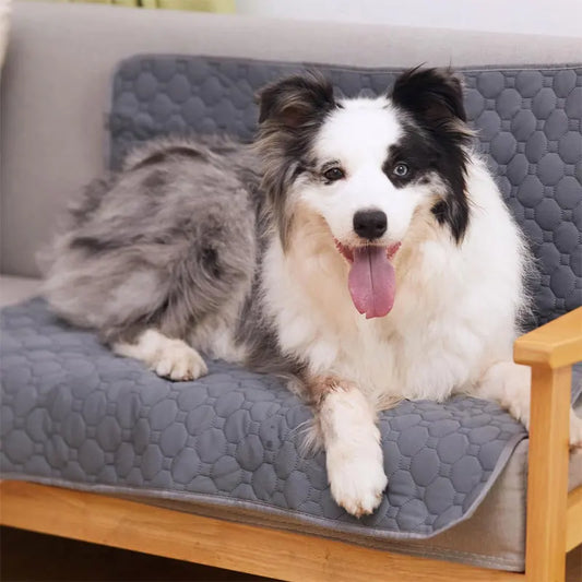 Pet Pee Pad Reusable Washable Urine Mat Car Seat Floor Sofa Absorbent Training Mat