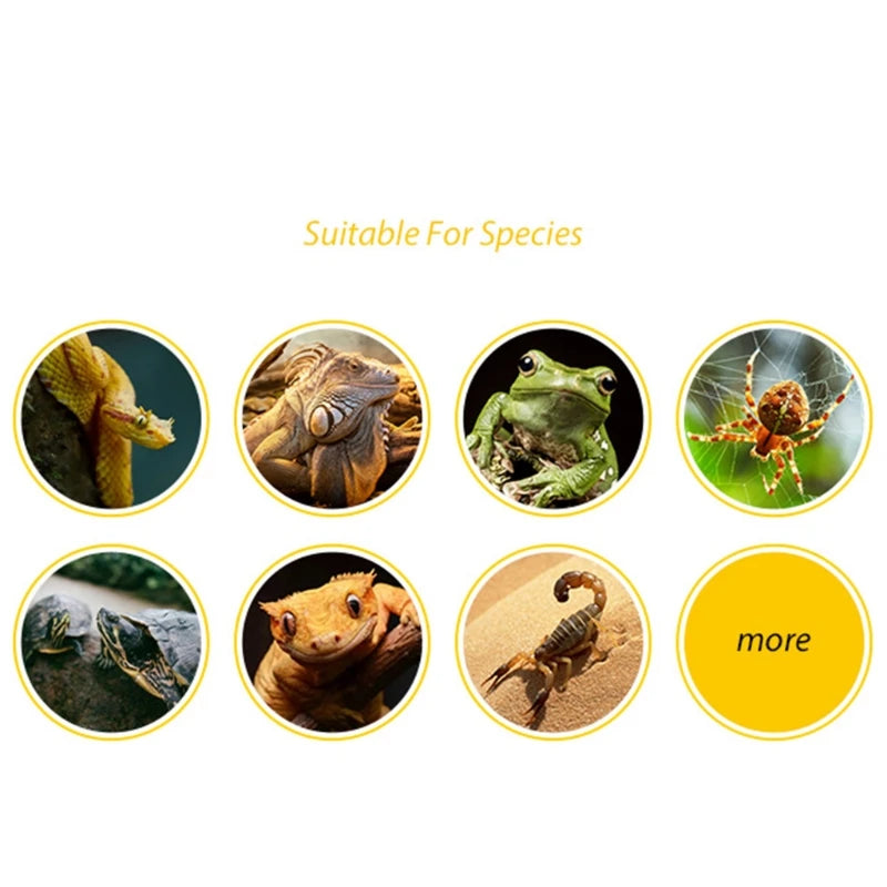 Reptile Cave Small Animal Hideaway Artificial Birch Resin