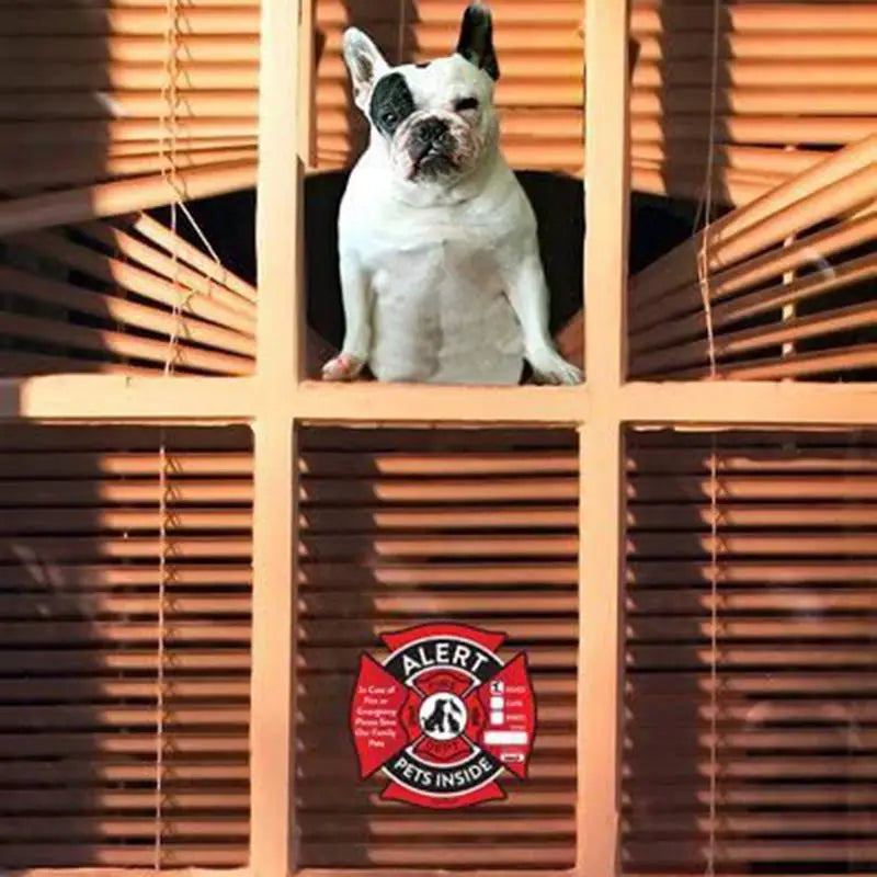 Pet Alert Safety Fire Rescue Sticker Emergency Pet Inside Decal Pet In House Window Sign