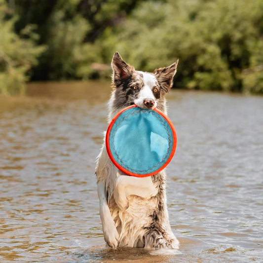 Flying Disc Dog Toy - Water Floating Flyer - Durable Nylon Construction with Soft Rubber Edges