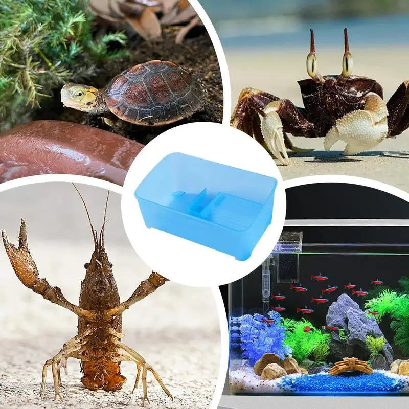 Turtle Tank Starter Kit Basking Platforms for Aquatic Turtles
