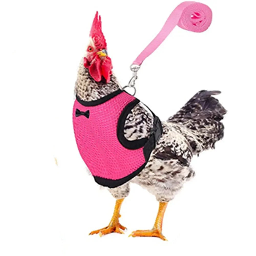 Chicken Duck Vest Hen Belt Pet Harness Matching Collars Bow Comfortable Leads
