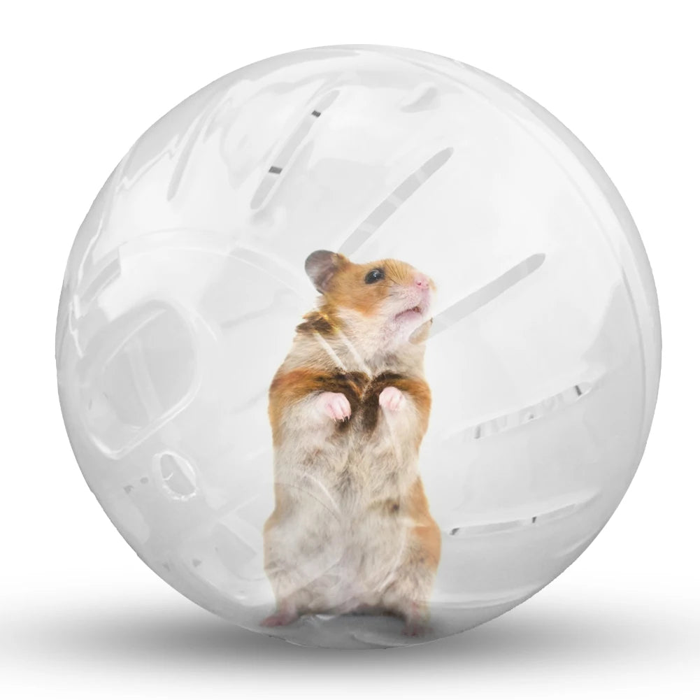 Pet Fitness Running Ball Plastic Rodent Mini Jogging Ball