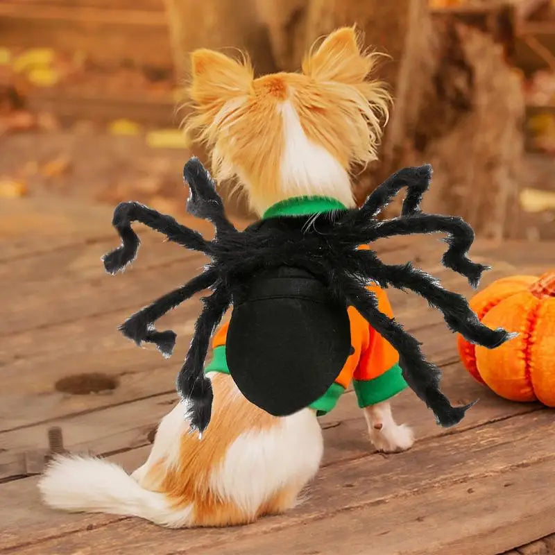 Halloween Pet Spider Costume Black Spooky Spider For Dogs Cats Cosplay Outfit