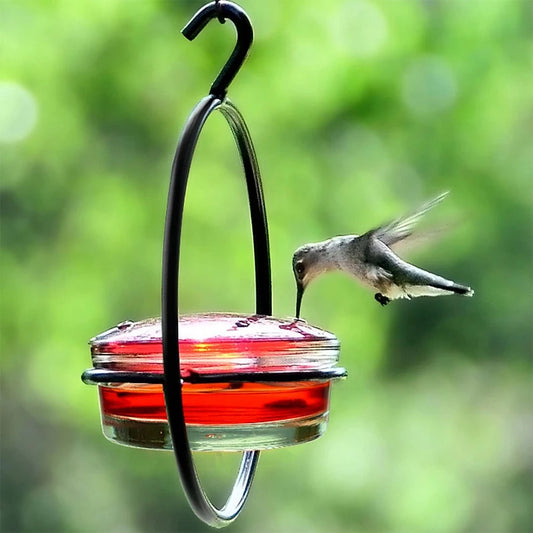 Hummingbird Feeder Attract Birds Ant Bee Proof with Red Glass Bowl for Outside Garden Backyard Patio Deck