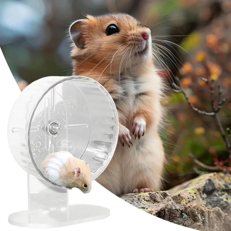 Hamster Wheel Silent Transparent Exercise Wheel Height Adjustable