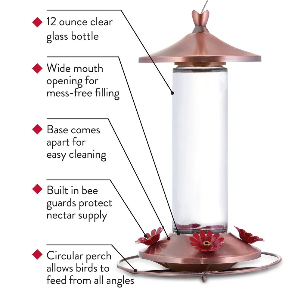 Elegant Copper Glass Hummingbird Feeder 12oz 4 Feeding Ports Wide Mouth Bee Guard