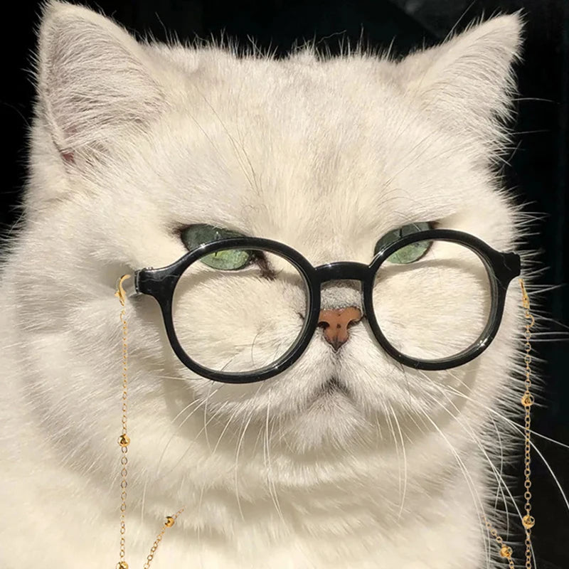Pet Sunglasses Classic Retro Dog Cat Pet Photo Props Costume