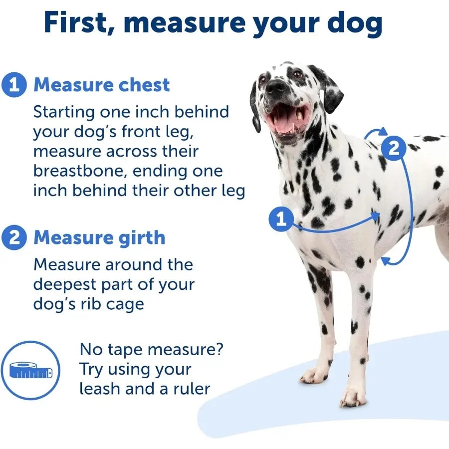 Anti-Pull Harness Easy Walk Front Clip | Breathable Mesh for Dogs, No Pull Pet Training & Walks
