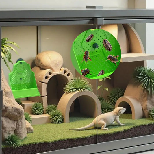 Chameleon Feeder Reptile Feeding Box Anti-Escape Hunting Bowl For Chameleon Frog Snake Spider Amphibian