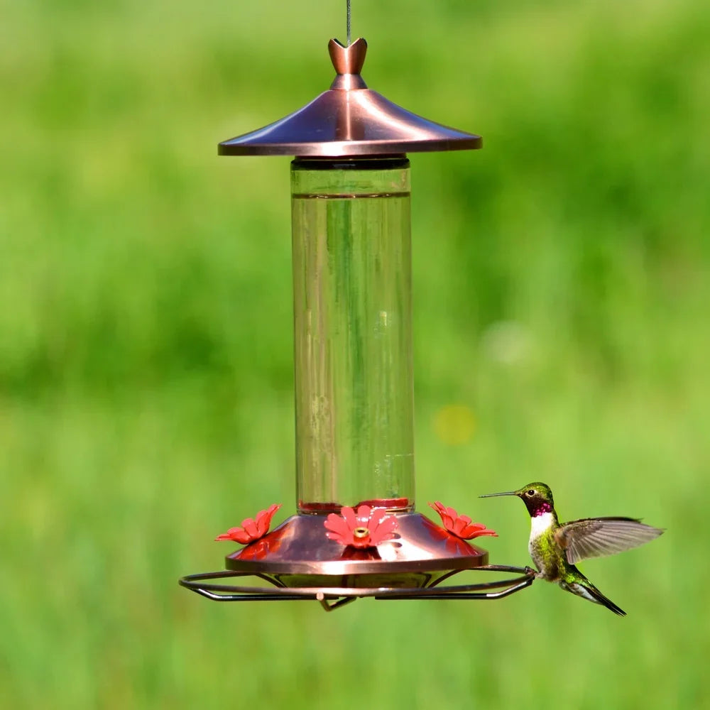 Elegant Copper Glass Hummingbird Feeder 12oz 4 Feeding Ports Wide Mouth Bee Guard