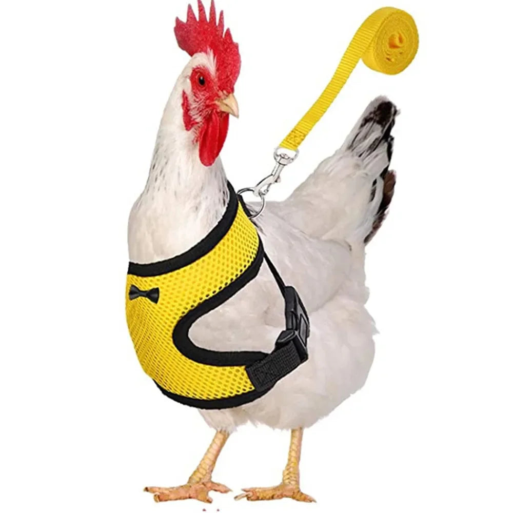 Chicken Duck Vest Hen Belt Pet Harness Matching Collars Bow Comfortable Leads