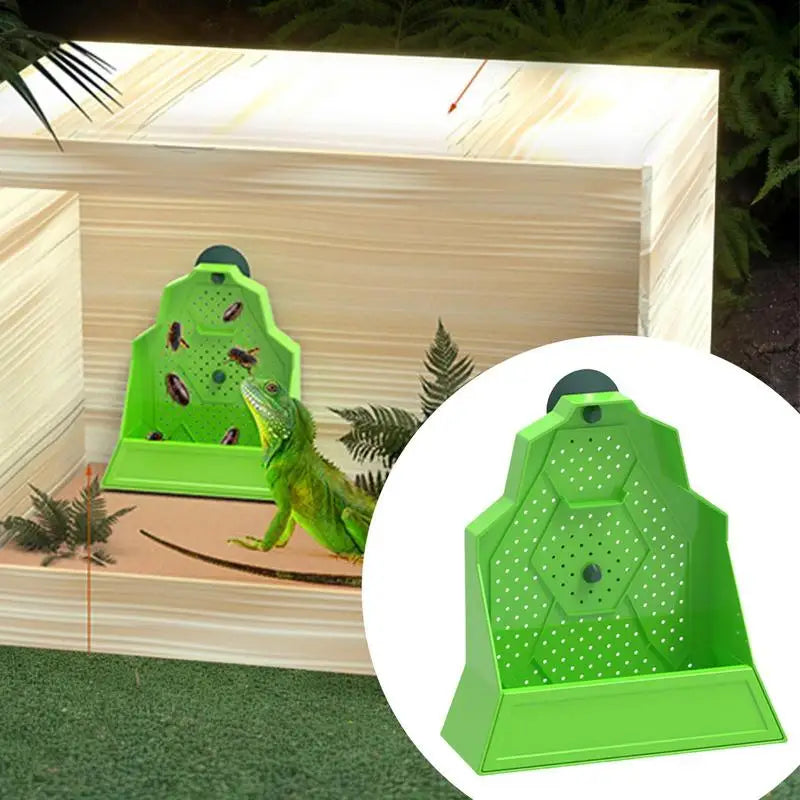 Reptile Food Dish Hunting Bowl Anti-Escape Feeder For Pets