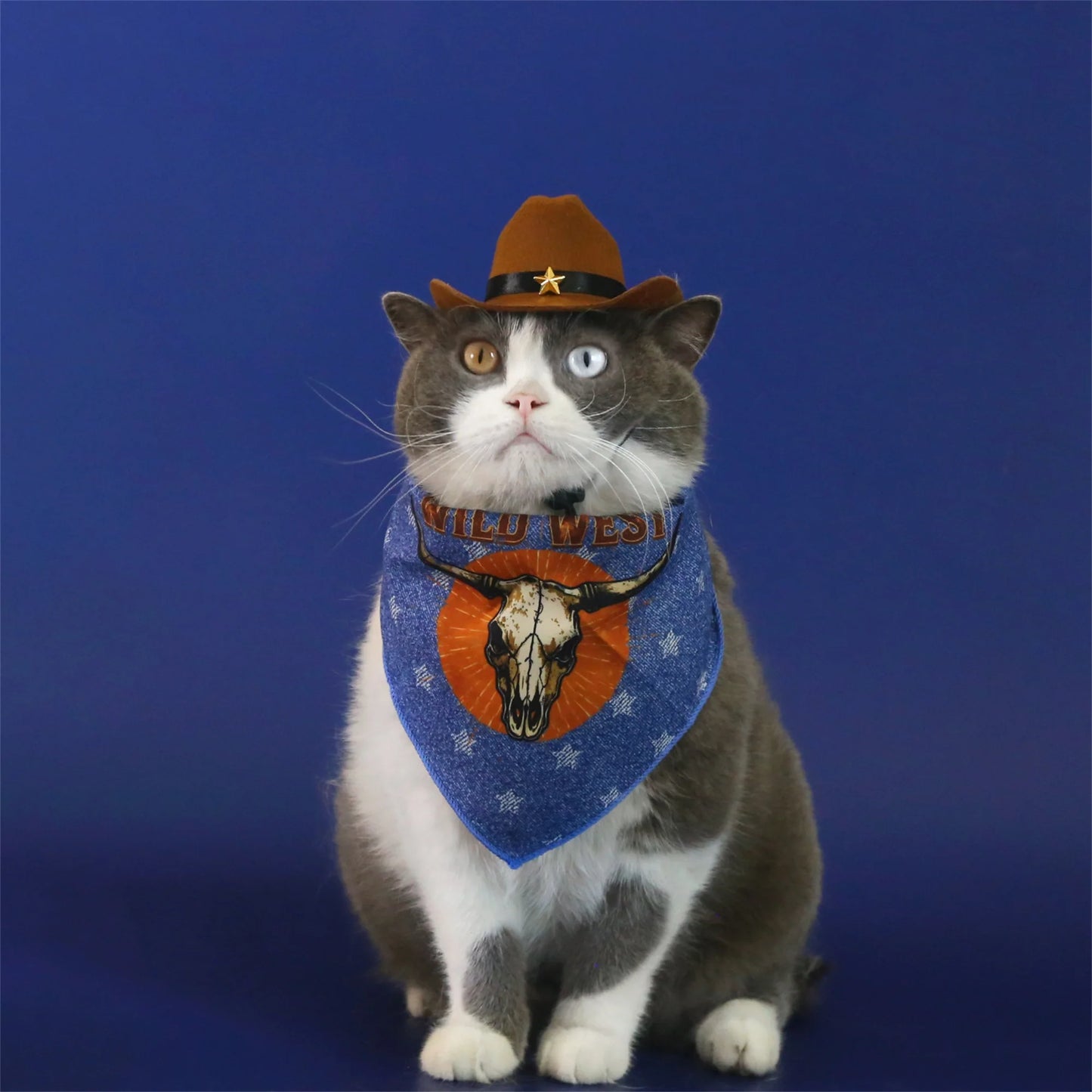 Pet Cowboy Costume Hat and Paisley Print Bandana Set Halloween Costume for Small Pets