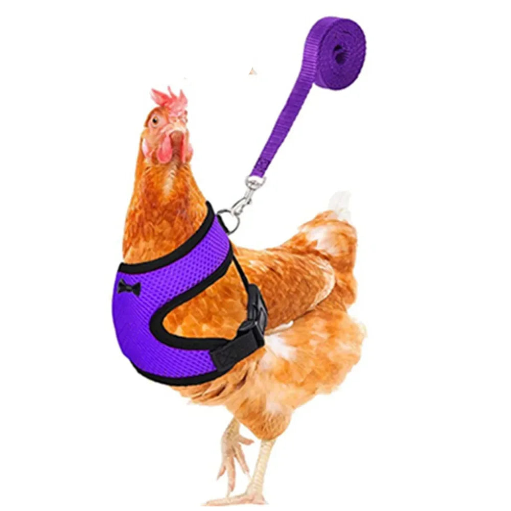 Chicken Duck Vest Hen Belt Pet Harness Matching Collars Bow Comfortable Leads