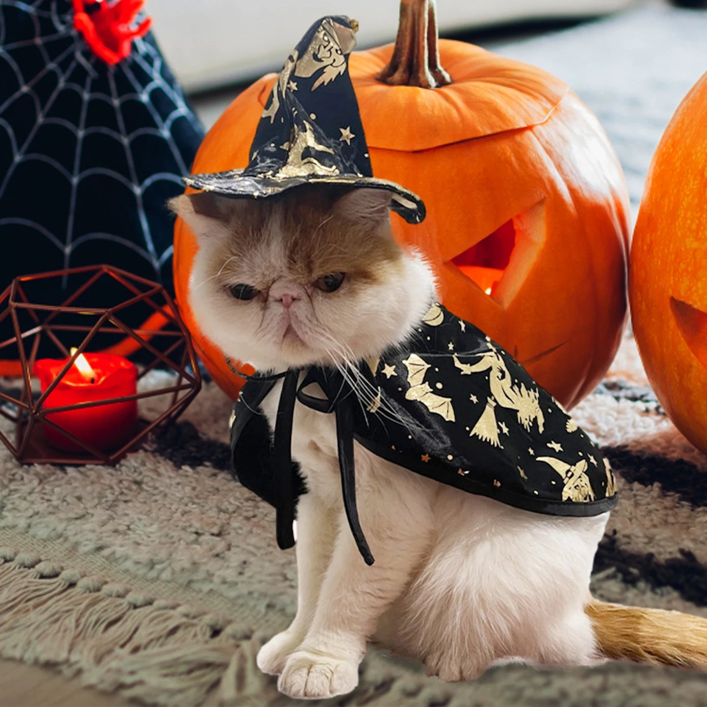 Wizard Costume For Pets Witch Hat Cloak Cape For Dogs And Cats