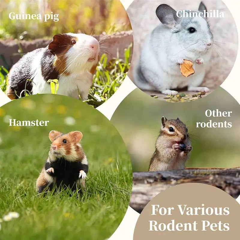 Foraging Toys For Small Pets Logic Game Enrichment Toys Feeder Training Puzzle