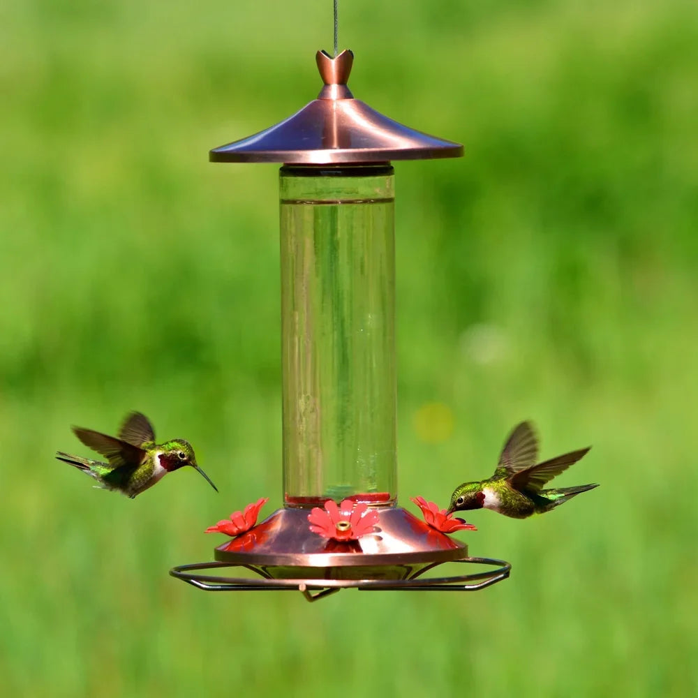 Elegant Copper Glass Hummingbird Feeder 12oz 4 Feeding Ports Wide Mouth Bee Guard