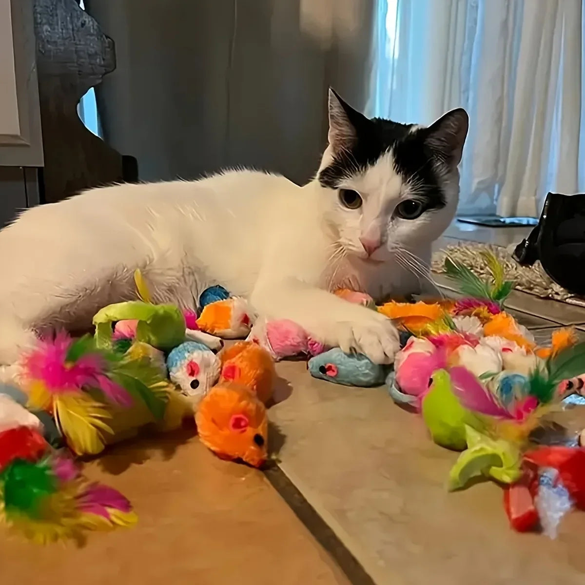 56pcs/28pcs/14pcs Pet Toys Mixed Pack. Various Plastic and Plush Toys