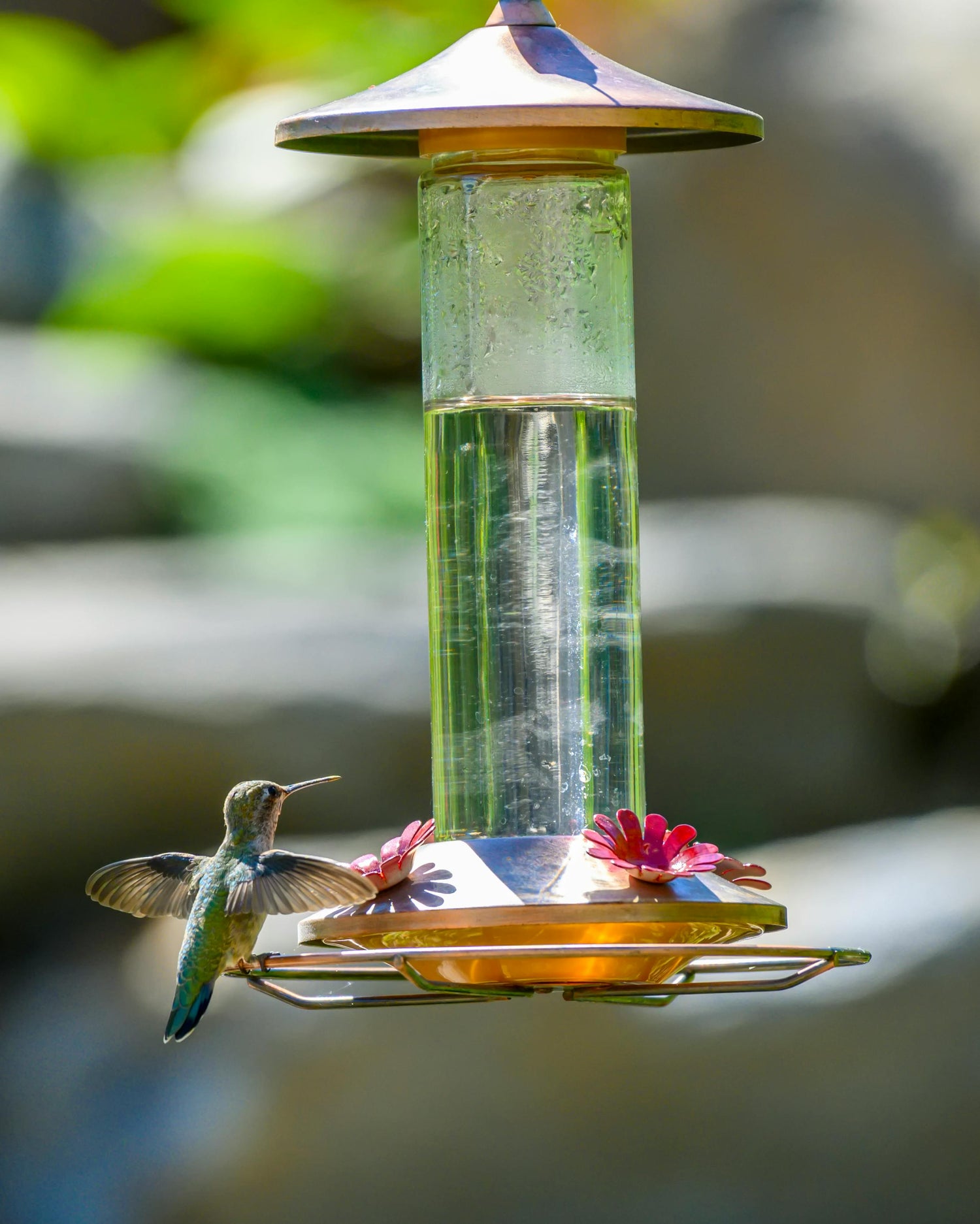 Bird Feeders