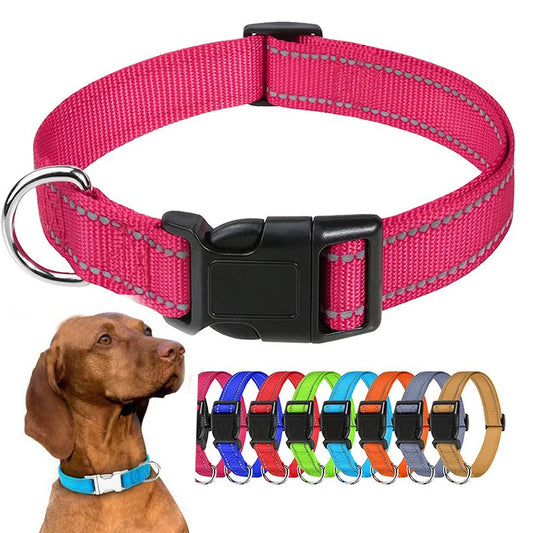 Small Dog Collar Decorative Multiple Colors and Sizes
