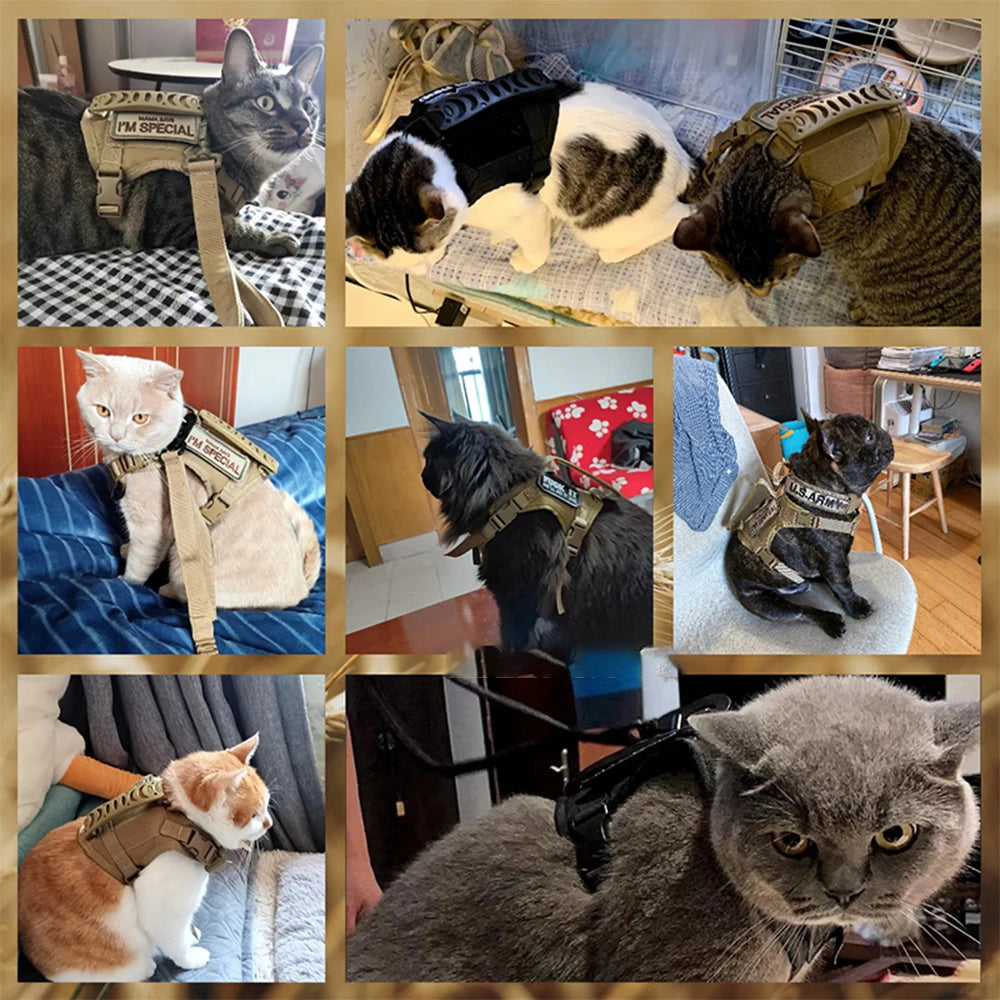 Tactical Cat Small Dog Harness with Leash and 9 Patches  Vest with Handle