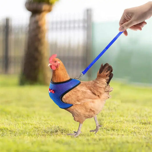 Chicken Harness Vest Adjustable 3.6Ft Training Rope for Hens