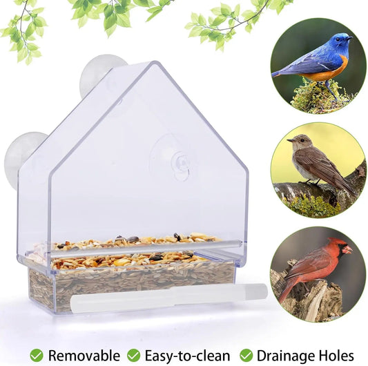 Window Bird Feeder with Strong Suction Cups for Watching Wild Birds