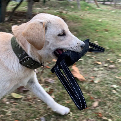 Dog Training Tug Toy Chewing Biting  With Two Handles
