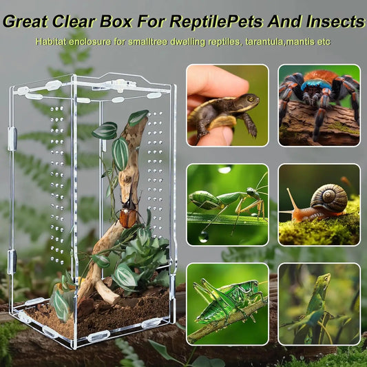 Acrylic  Reptile Terrarium Habitat Breeding Box Reptiles Cage
