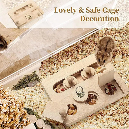 Foraging Toys For Small Pets  Logic Game Enrichment Toys Feeder Training Puzzle