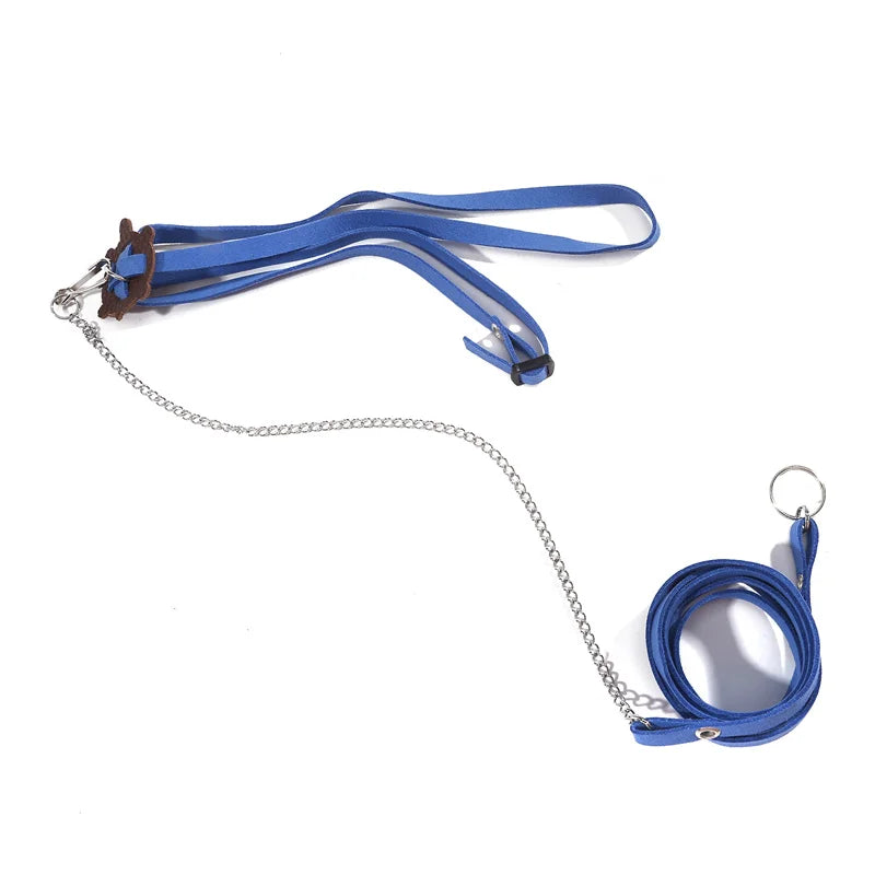 Small Pet Turtle Rope Safety Belt Training Rope